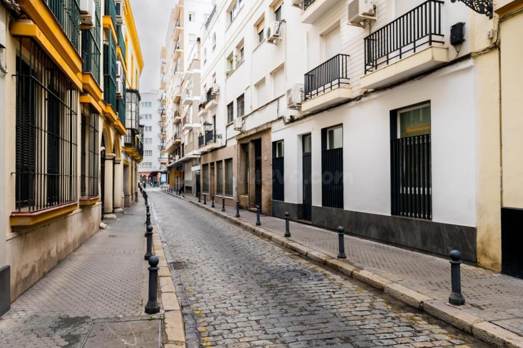 EXCLUSIVA VIVIENDA REFORMADA EN PLANTA BAJA EN LA ZONA ARENA