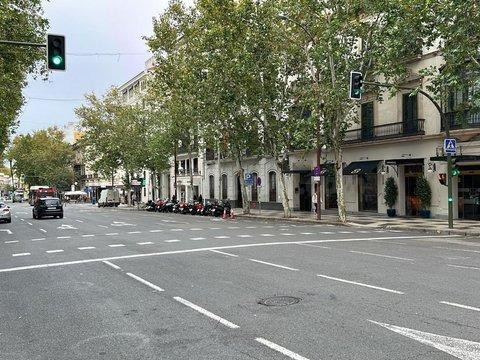 EXCLUSIVA VIVIENDA REFORMADA EN PLANTA BAJA EN LA ZONA ARENA - foto 3