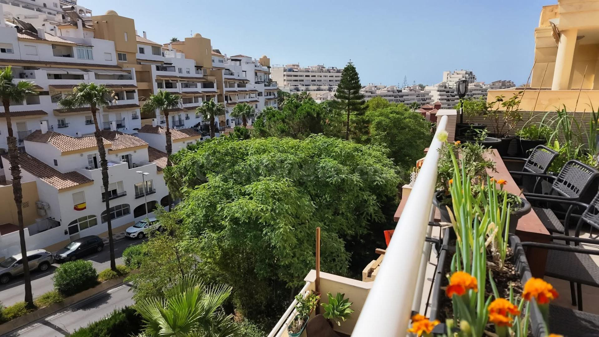 NUEVA TORREQUEBRADA - foto 5