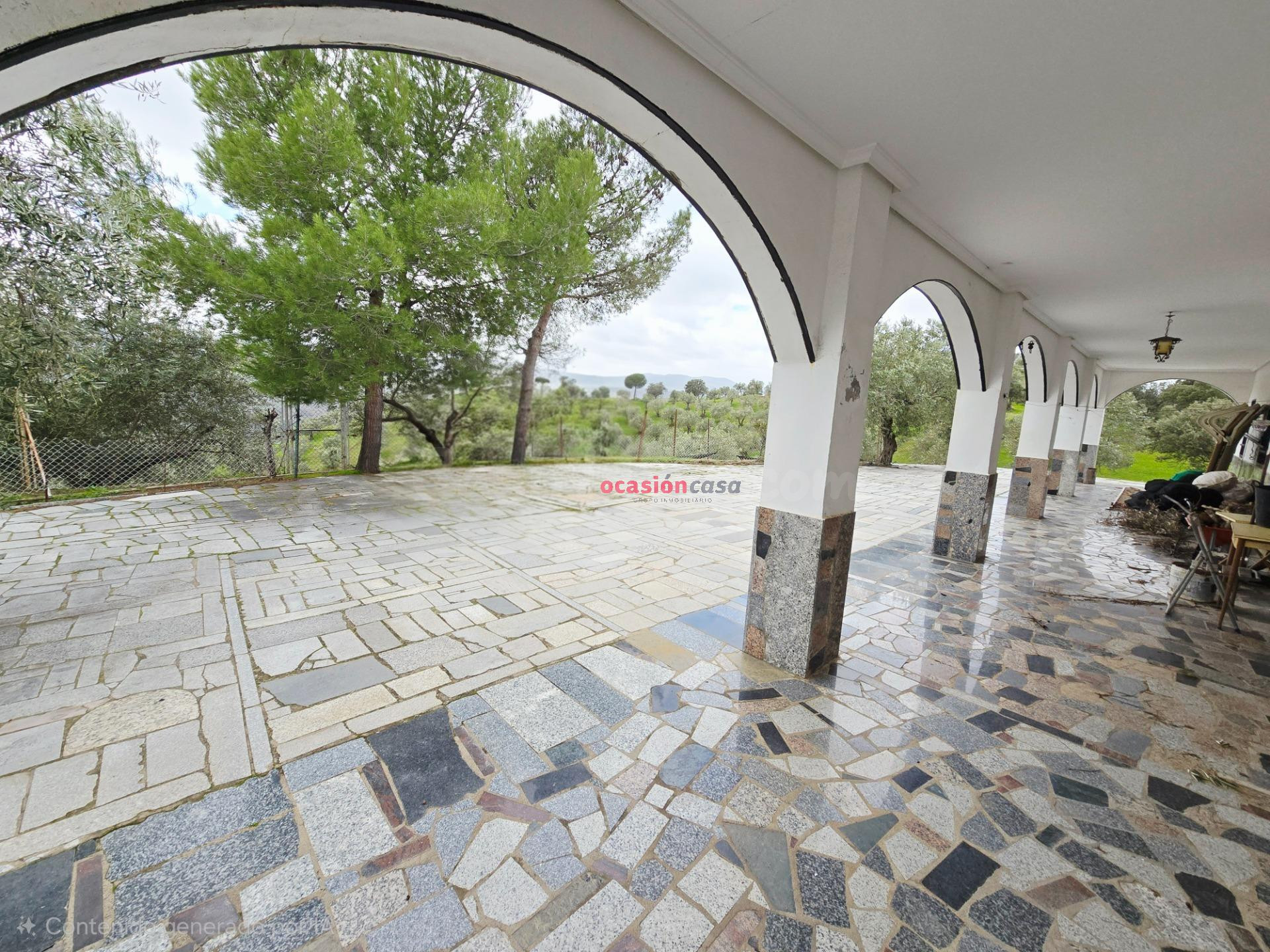 FINCA DE OLIVOS CON CORTIJO