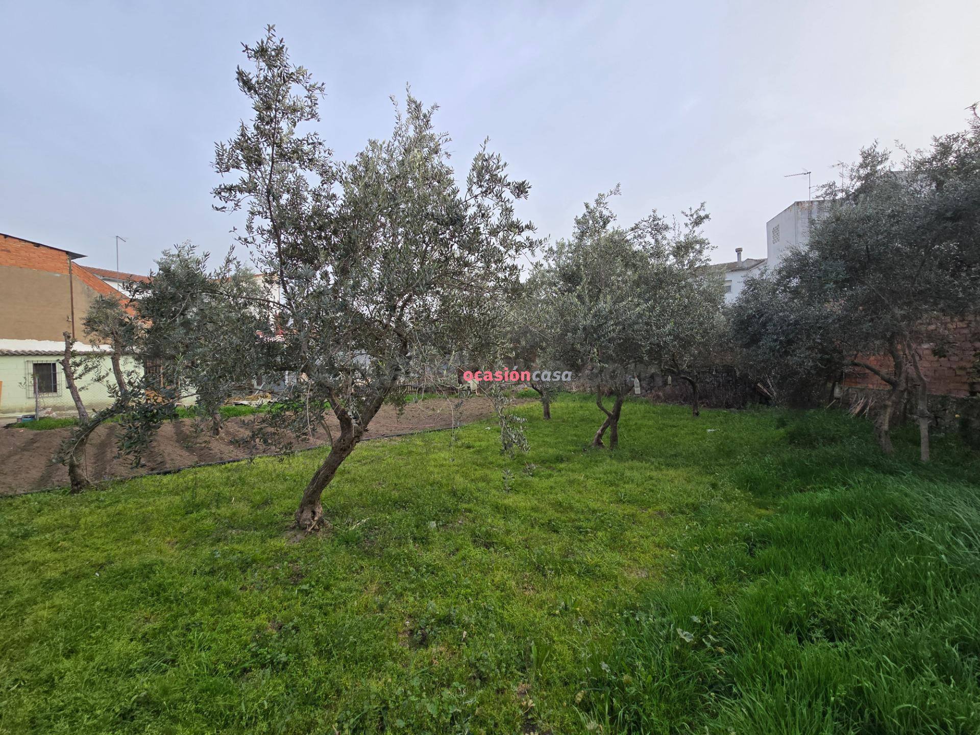 GRAN SOLAR URBANO EN VENTA - foto 2