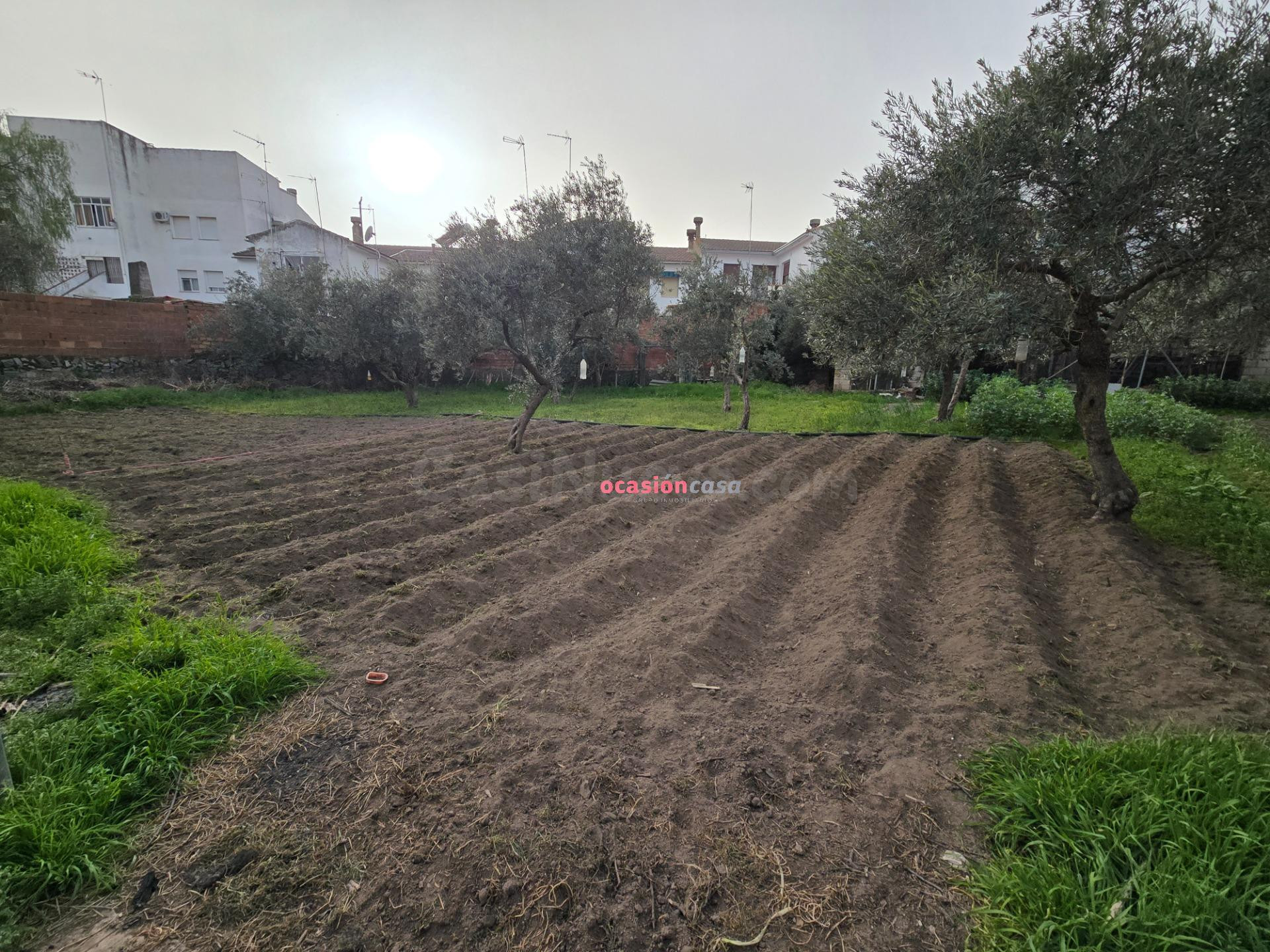 GRAN SOLAR URBANO EN VENTA - foto 3