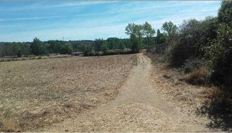 TERRENO EN LEON - foto 5