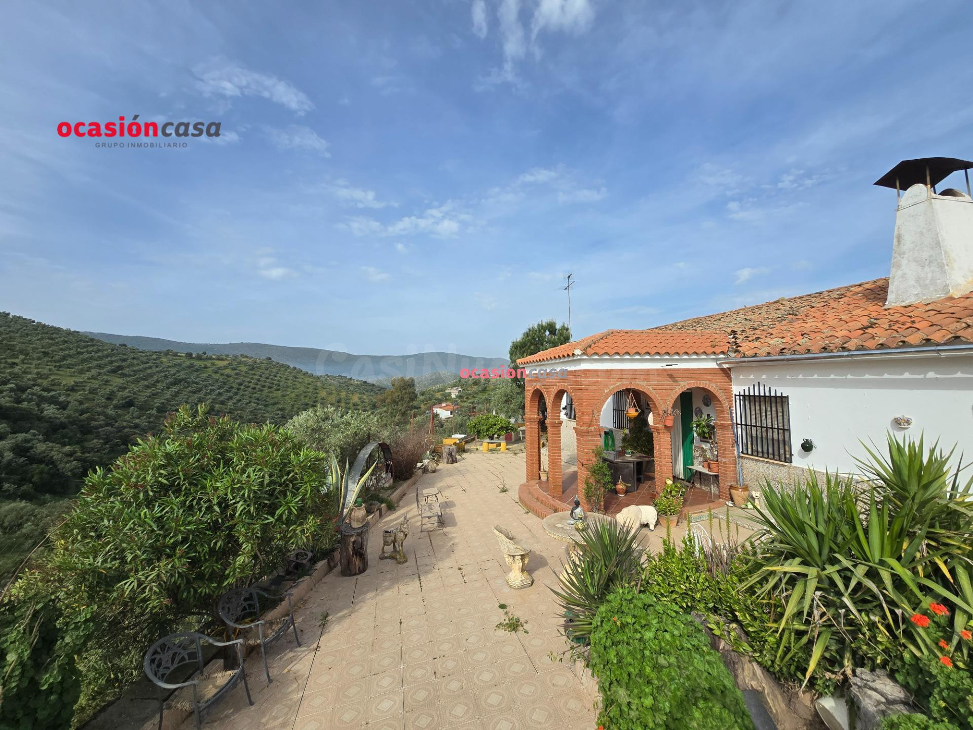 OLIVAR CON CORTIJO EN VENTA