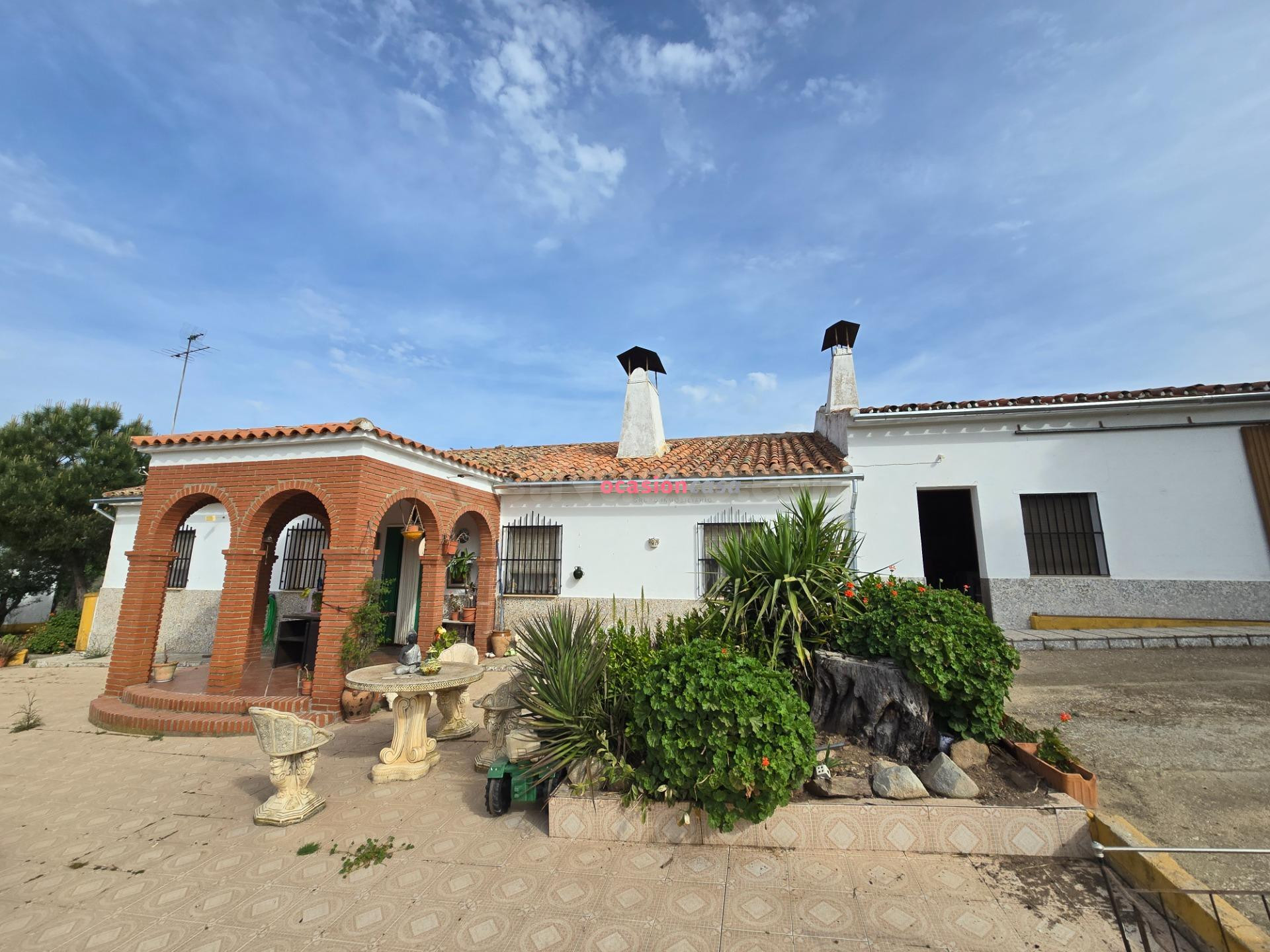 OLIVAR CON CORTIJO EN VENTA - foto 2