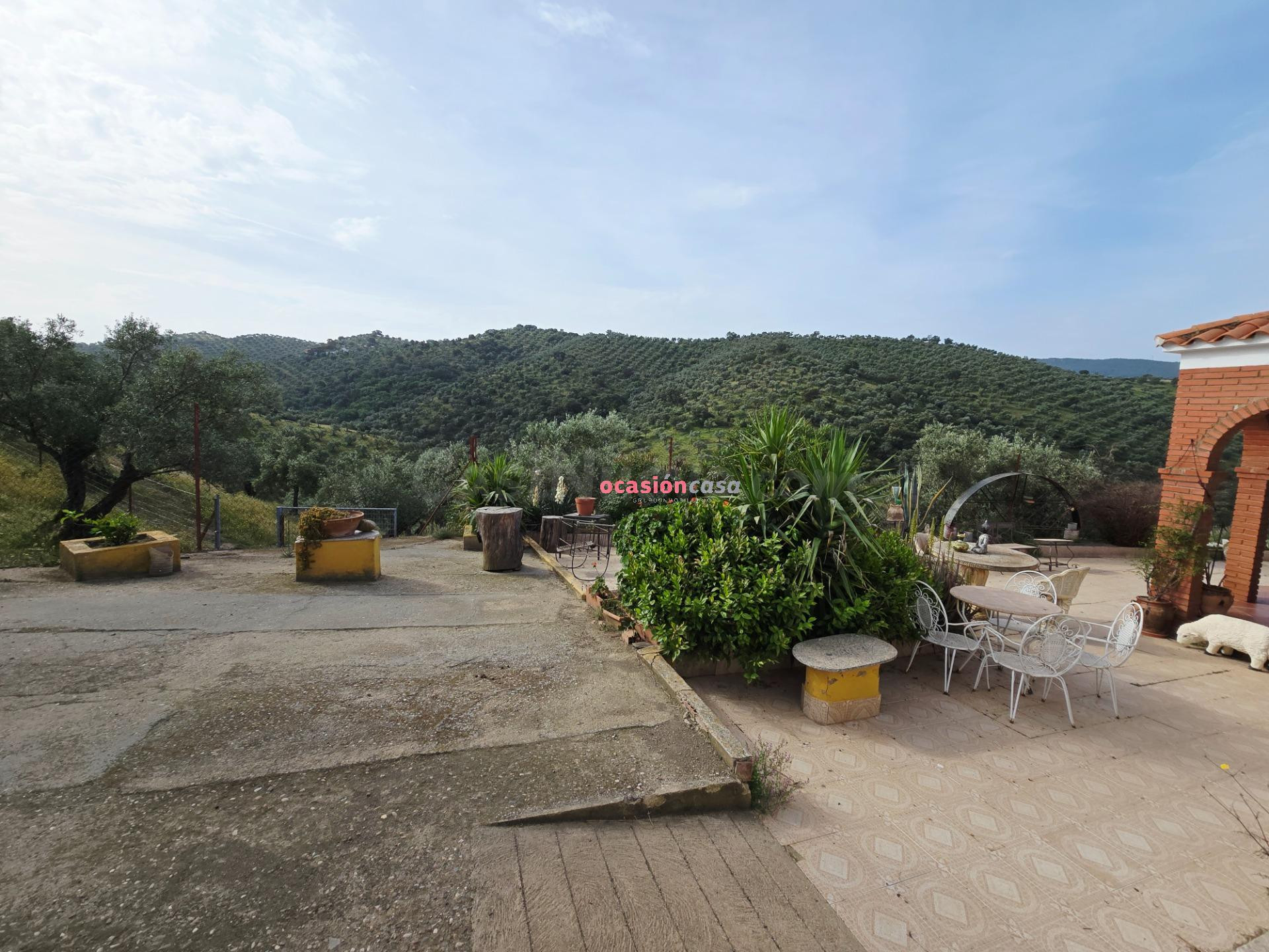 OLIVAR CON CORTIJO EN VENTA - foto 5