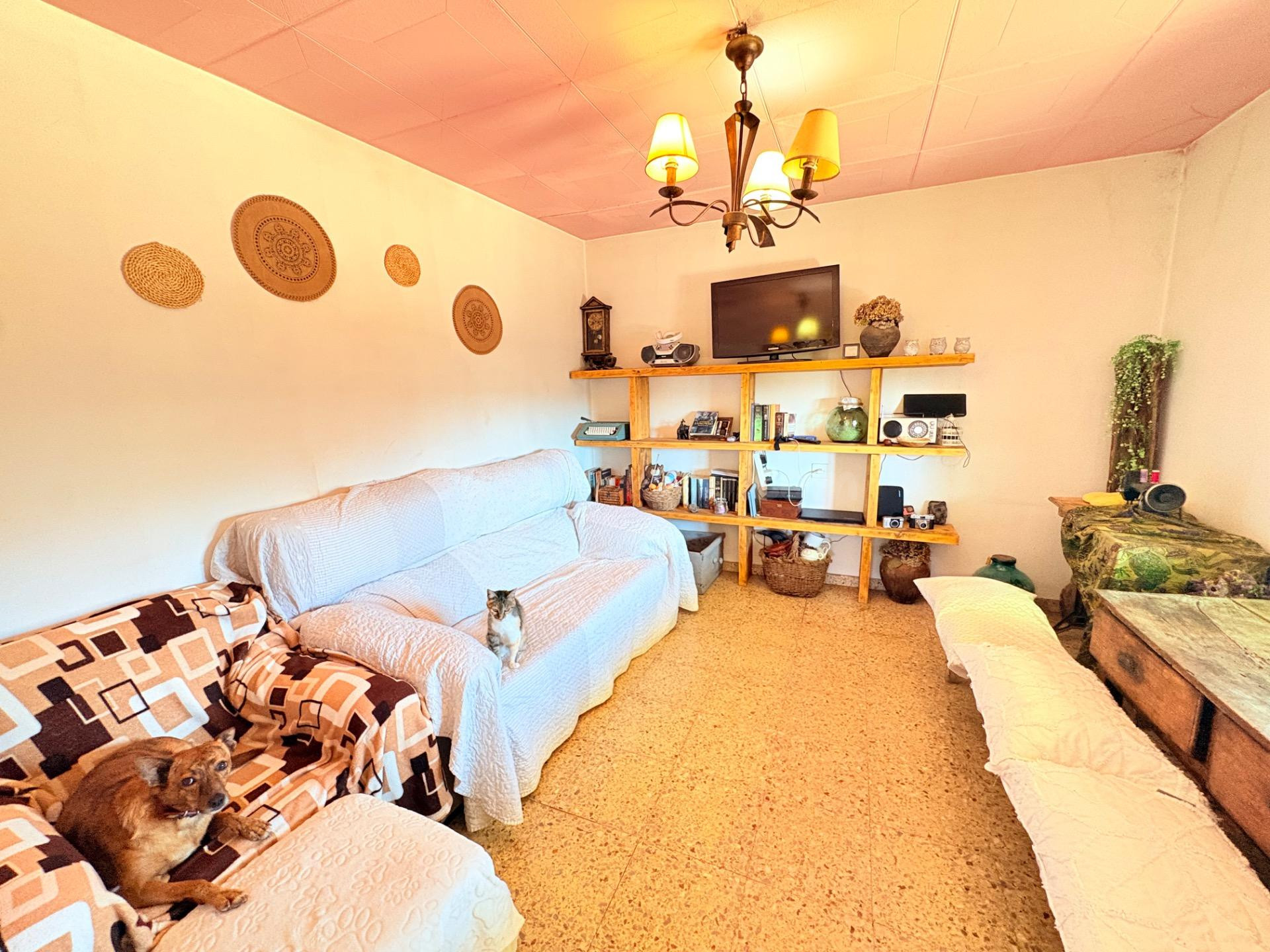 CASA CON TERRENO Y TERRAZA - foto 4