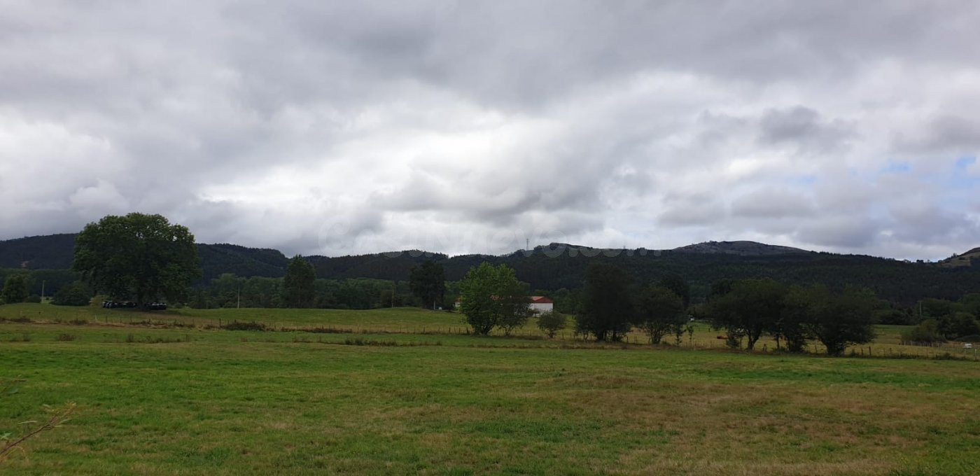 Terreno rural en venta - Mazcuerras - foto 2