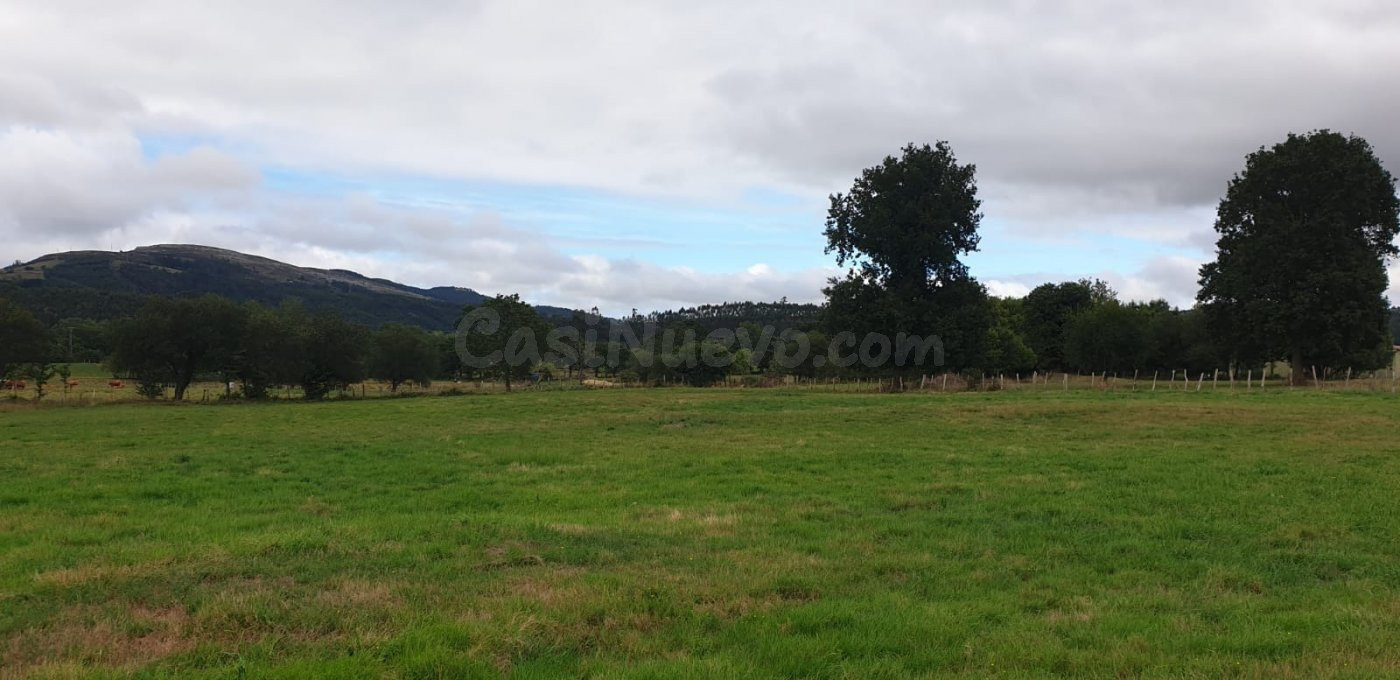 Terreno rural en venta - Mazcuerras - foto 5