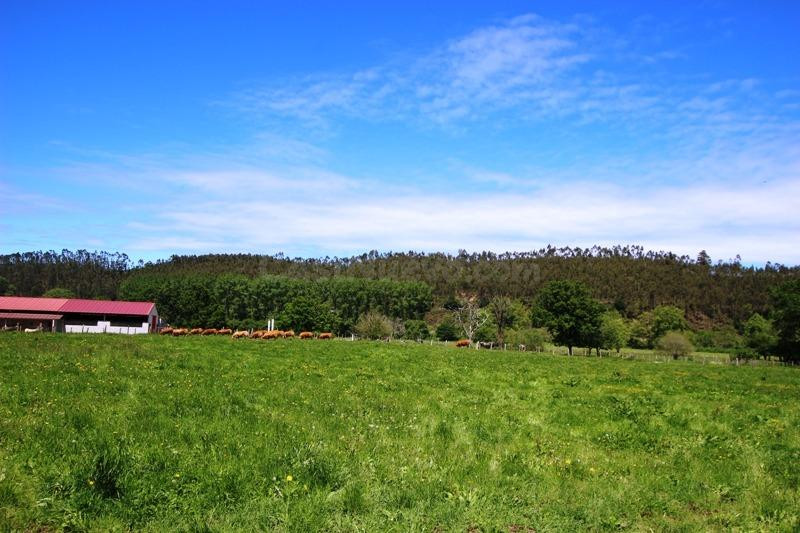 Terreno urbanizable en venta - Villanueva de la peña