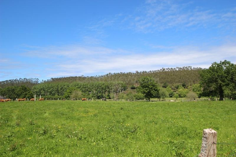 Terreno urbanizable en venta - Villanueva de la peña - foto 2