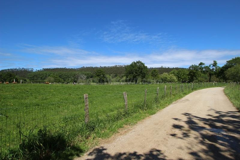 Terreno urbanizable en venta - Villanueva de la peña - foto 3