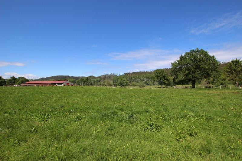 Terreno urbanizable en venta - Villanueva de la peña - foto 5