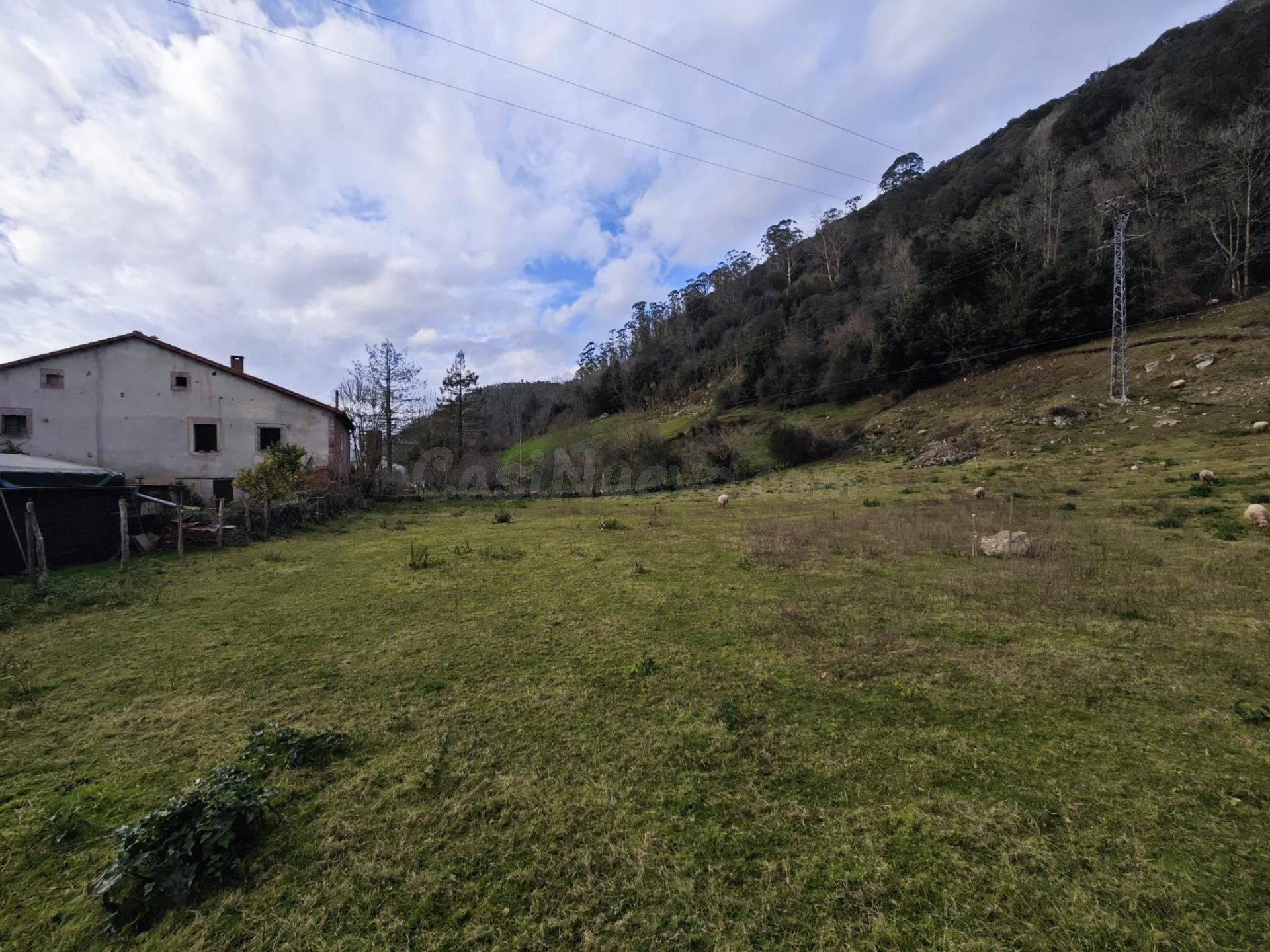 VENTA SOLAR URBANO EN TRECEÑO