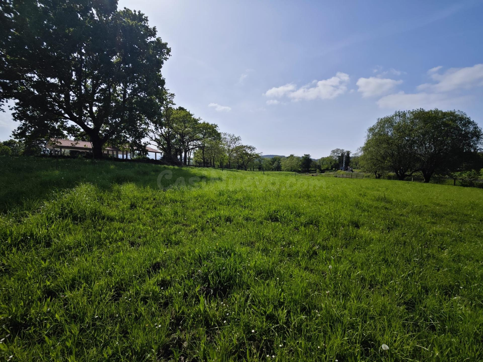 Finca rústica en venta en Villanueva de la Peña (Mazcuerras)