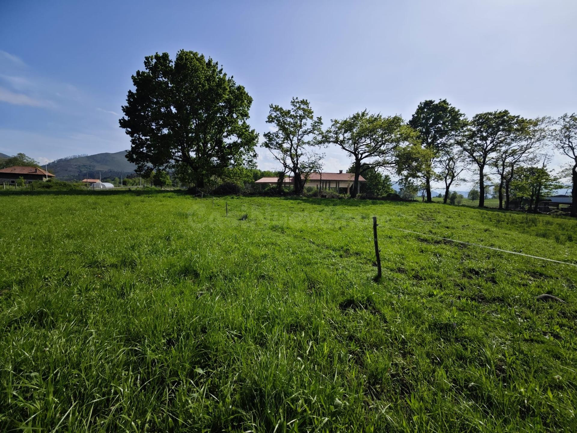 Finca rústica en venta en Villanueva de la Peña (Mazcuerras) - foto 2