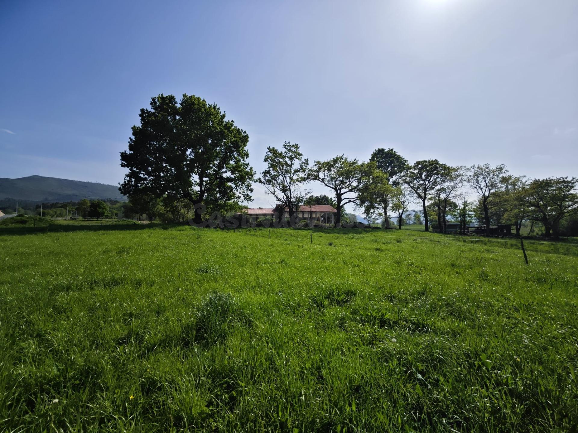 Finca rústica en venta en Villanueva de la Peña (Mazcuerras) - foto 3