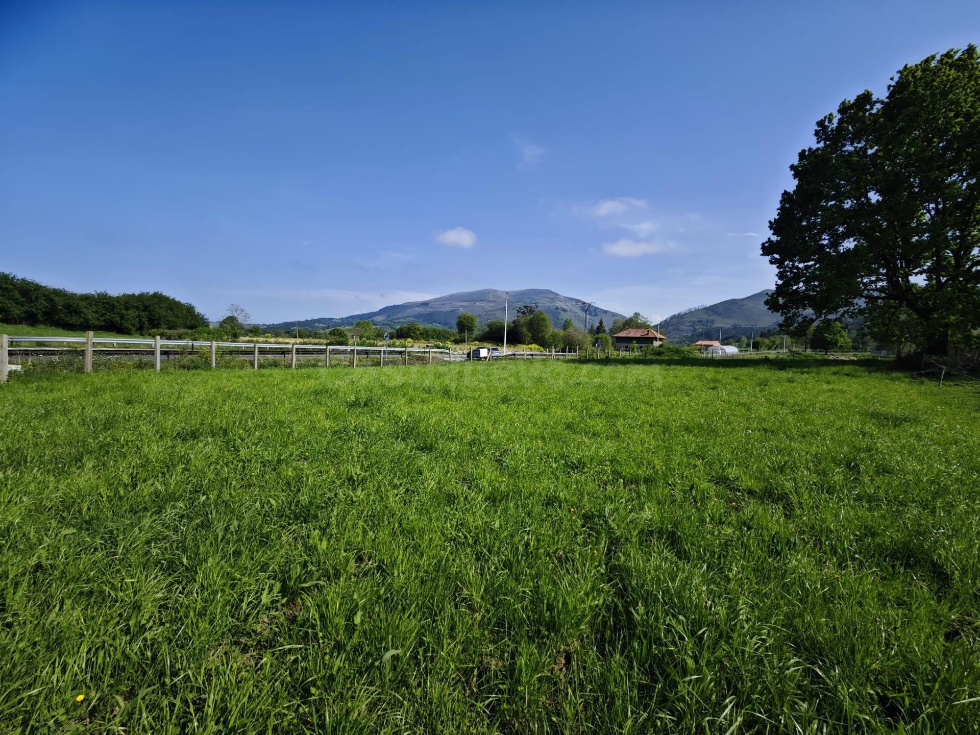 Finca rústica en venta en Villanueva de la Peña (Mazcuerras) - foto 5