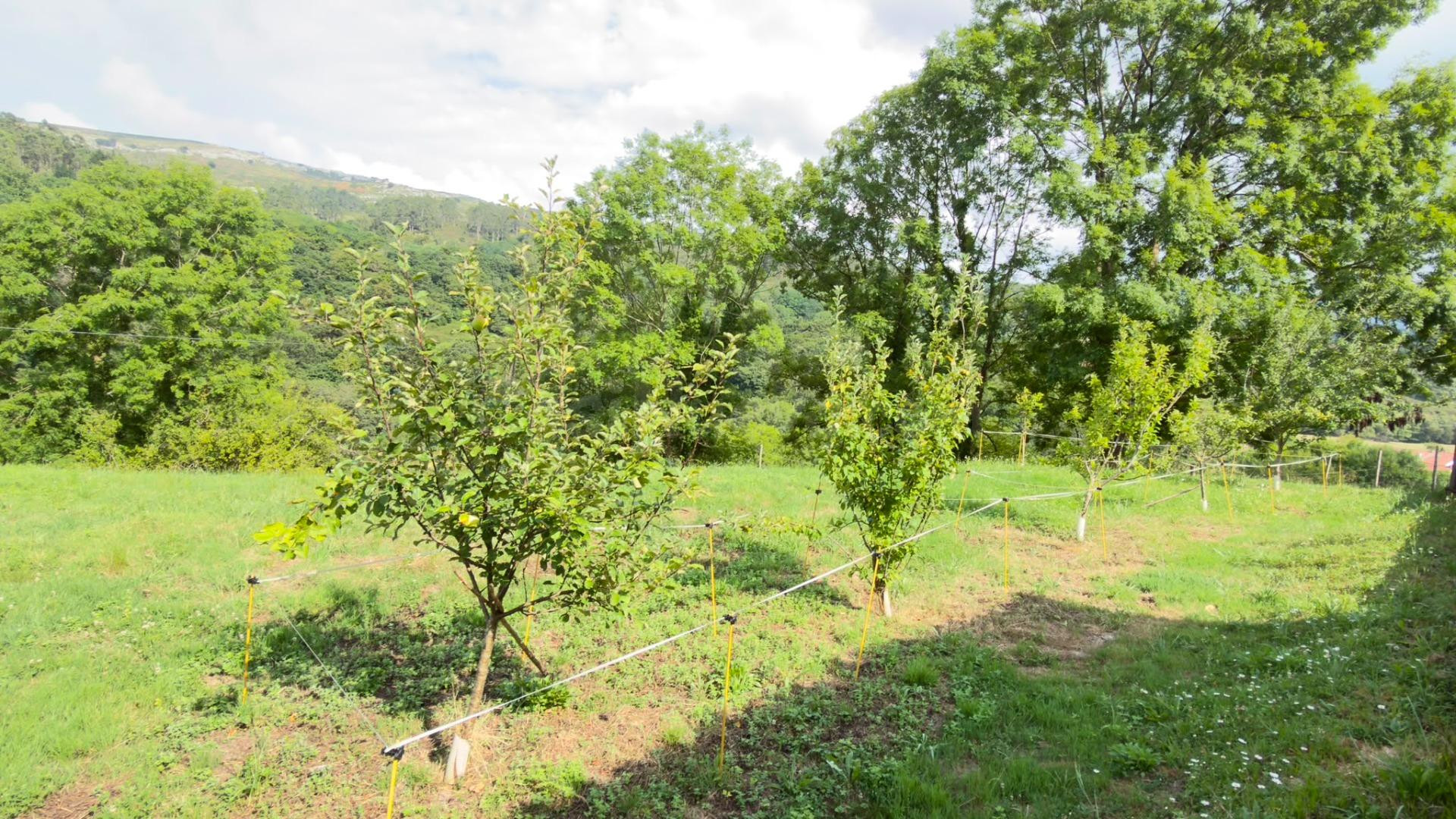 Terreno urbano + finca de 1.553 m2 en Udías, Cantabria