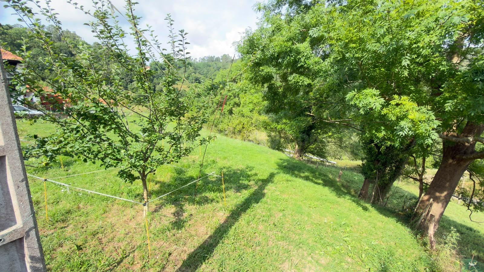Terreno urbano + finca de 1.553 m2 en Udías, Cantabria - foto 5