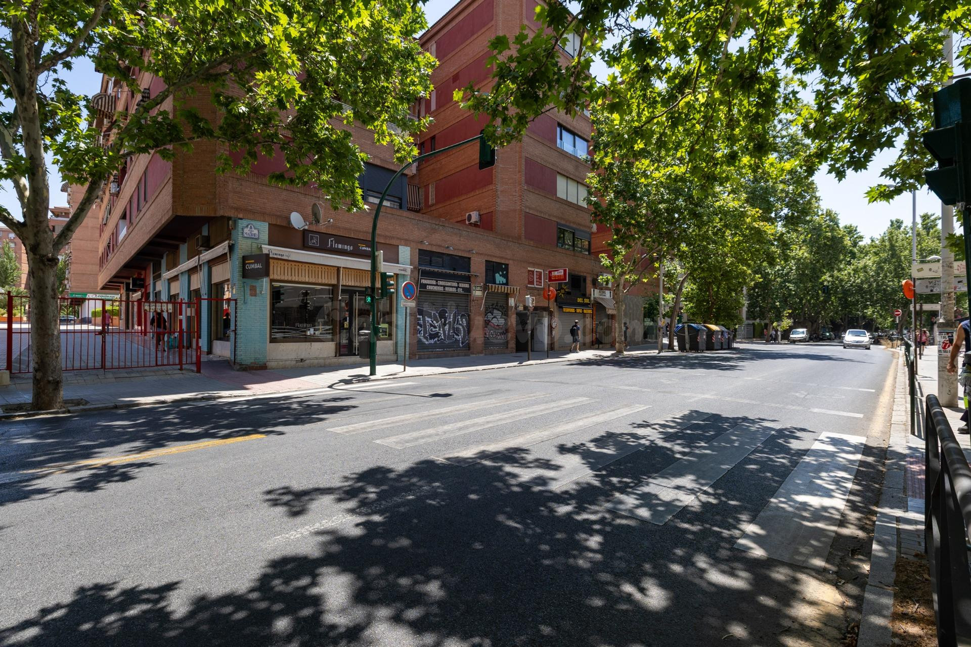 Local Comercial en rentabilidad con gran fachada en esquina. - foto 3