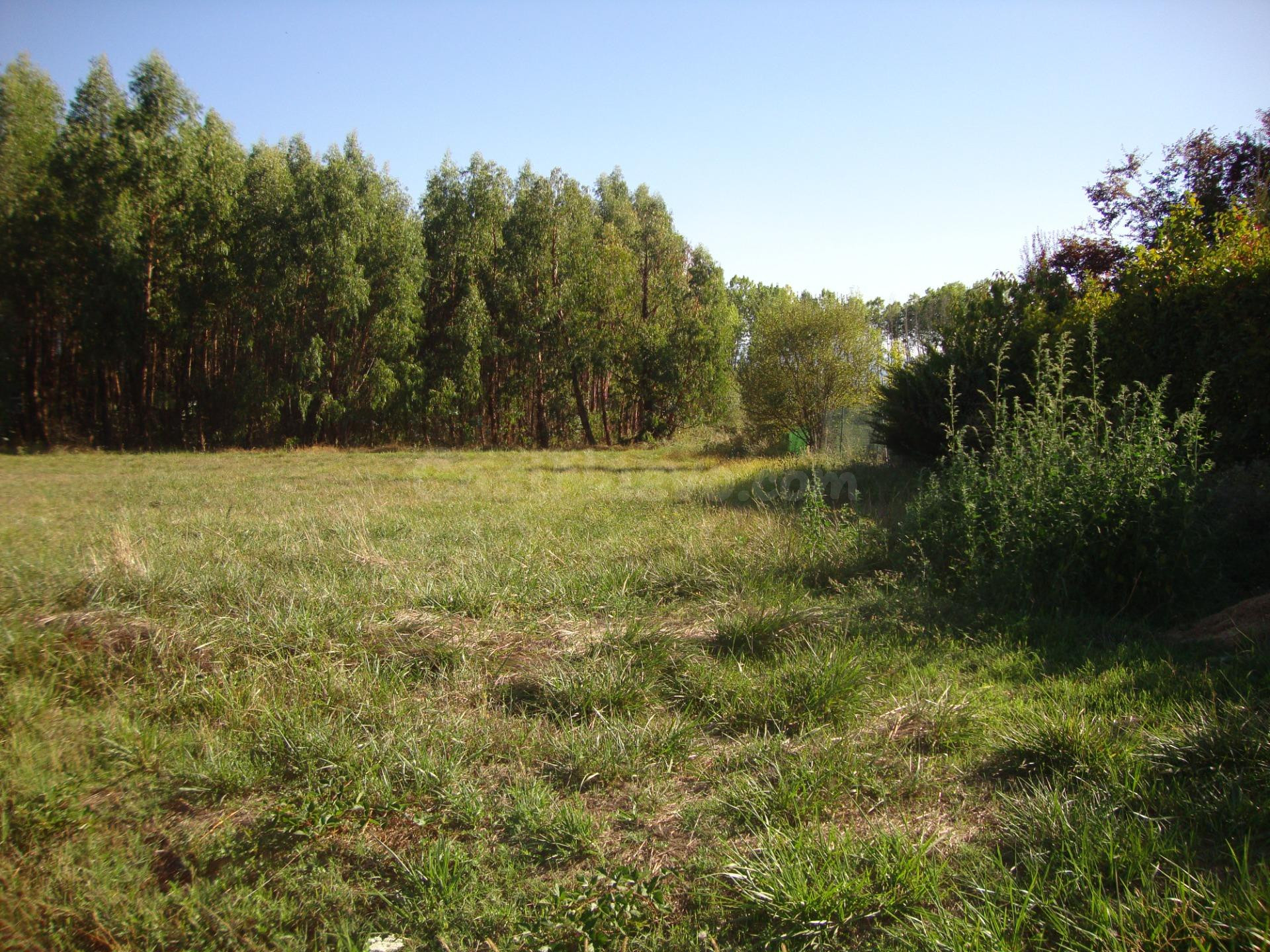 Terreno Urbano en Cabañas Raras con Vistas Impresionantes - foto 5