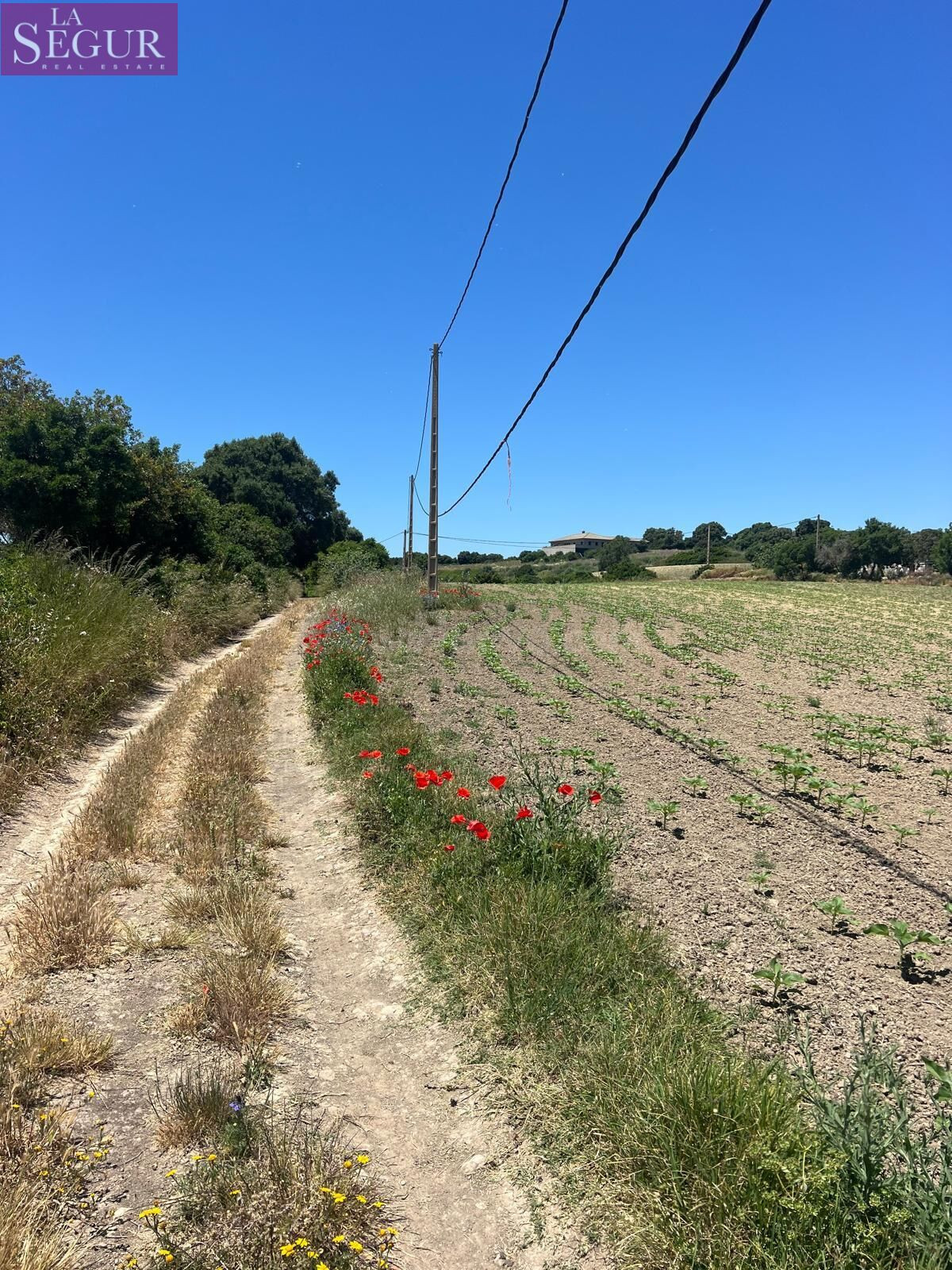 TERRENO RÚSTICO A 15 MINUTOS DE VEJER - foto 2