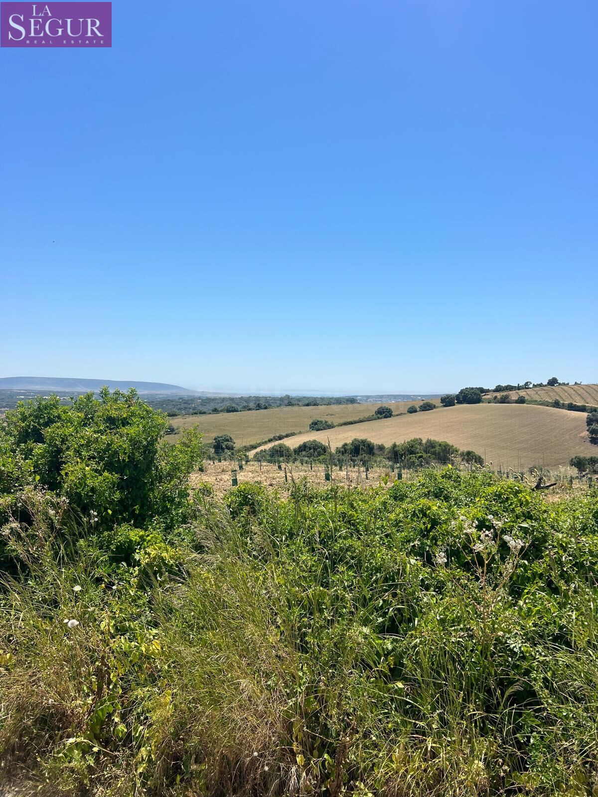 TERRENO RÚSTICO A 15 MINUTOS DE VEJER - foto 4