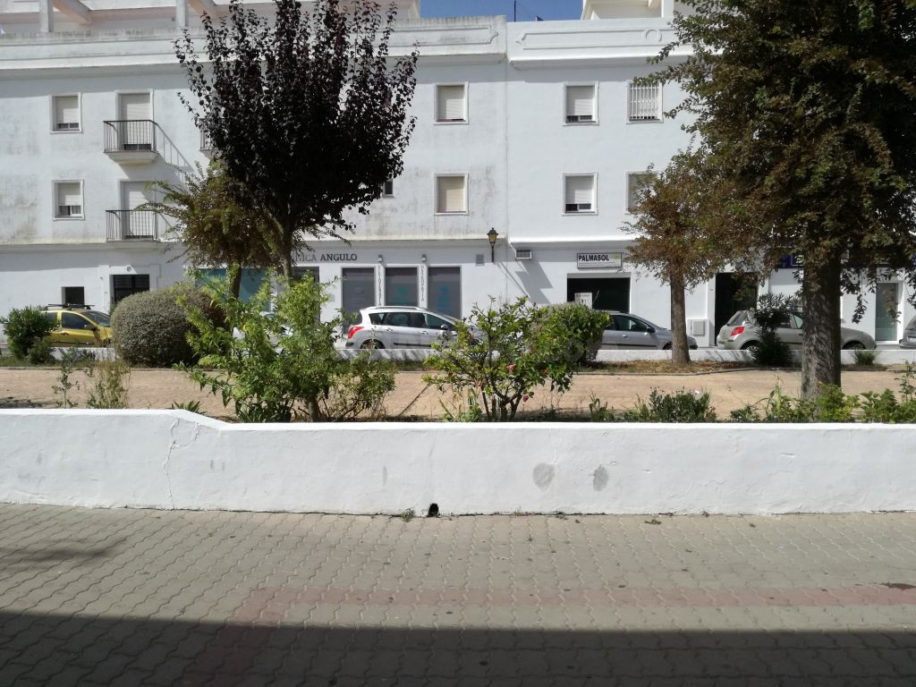 CASA CON TERRAZA EN ZONA CÉNTRICA - foto 2