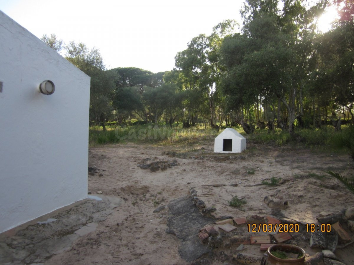 ESTUPENDA CASA EN TERRENO PRÓXIMA A VEJER DE LA FRONTERA - foto 4