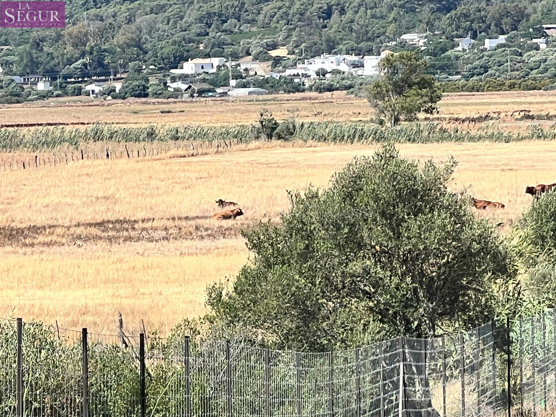 Parcela rústica ideal para Caballos, ganado. - foto 2