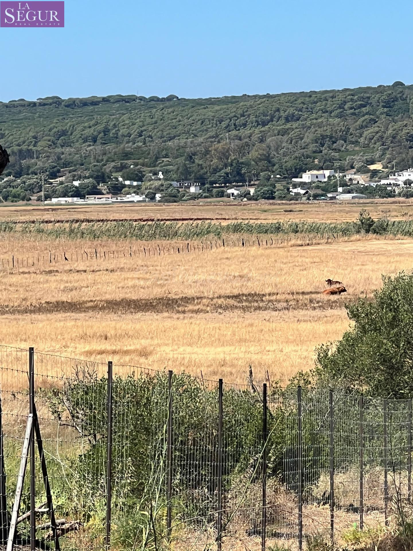 Parcela rústica ideal para Caballos, ganado. - foto 4