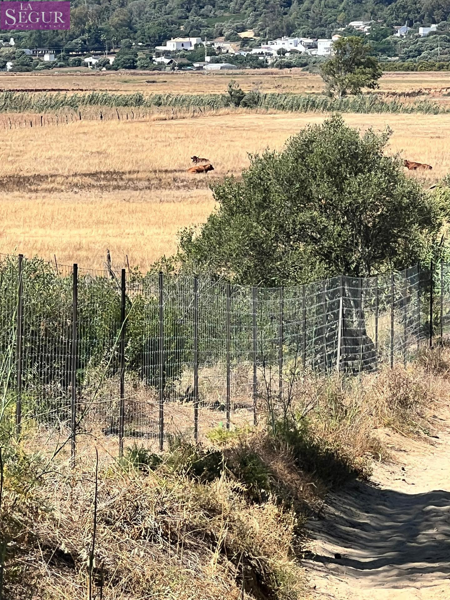 Parcela rústica ideal para Caballos, ganado. - foto 5