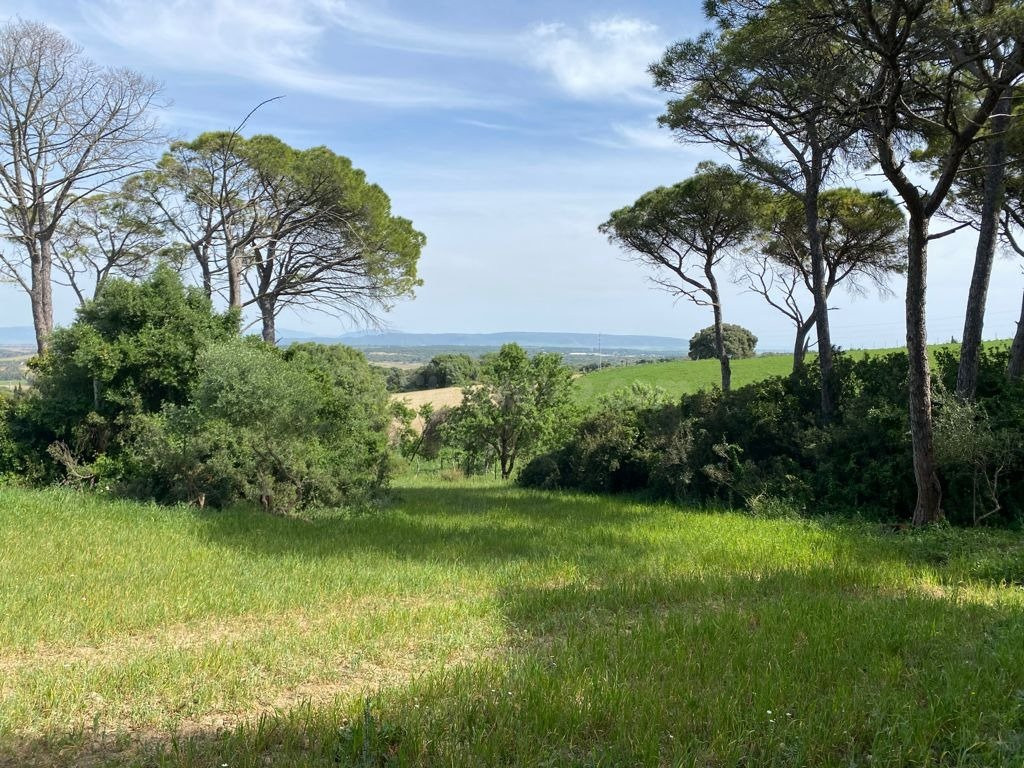 Finca rústica cerca de Vejer - foto 3