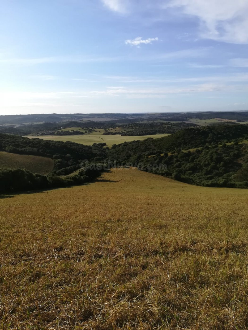 Parcela Rústica 32.000 m2. Zona Patria