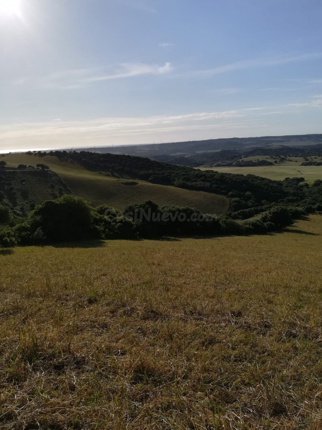 Parcela Rústica 32.000 m2. Zona Patria - foto 2