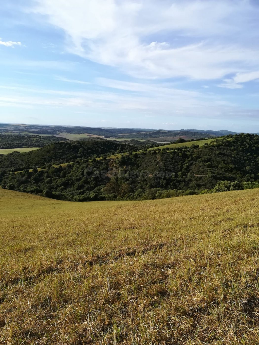 Parcela Rústica 32.000 m2. Zona Patria - foto 3