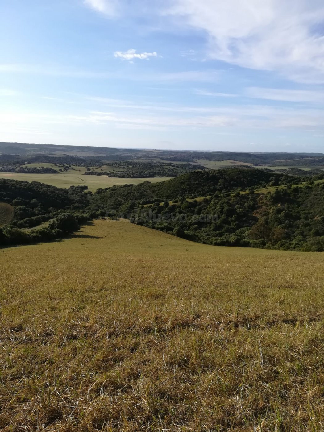 Parcela Rústica 32.000 m2. Zona Patria - foto 4