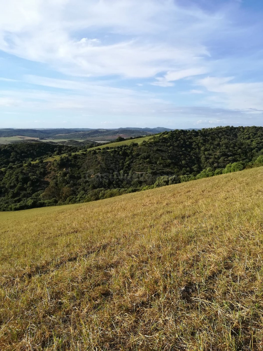 Parcela Rústica 32.000 m2. Zona Patria - foto 5
