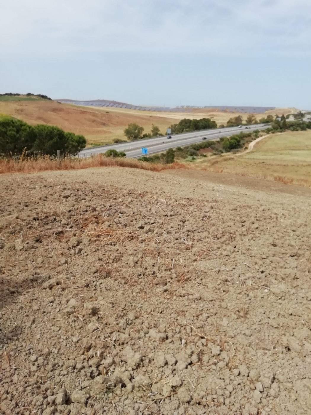 PARCELA RÚSTICA DE 2000 METROS EN EL TERMINO MUNICIPAL DE BARBATE