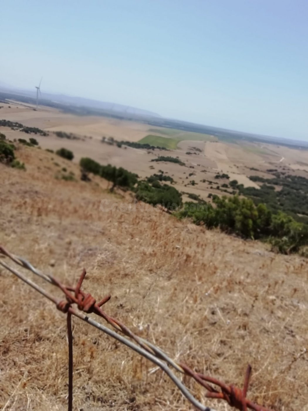Finca Rústica 8 Has. en Vejer.