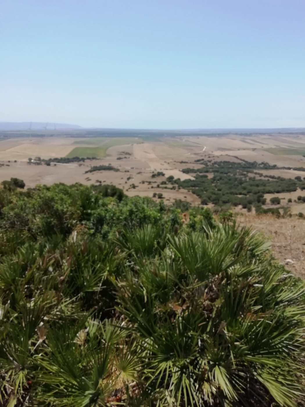 Finca Rústica 8 Has. en Vejer. - foto 2