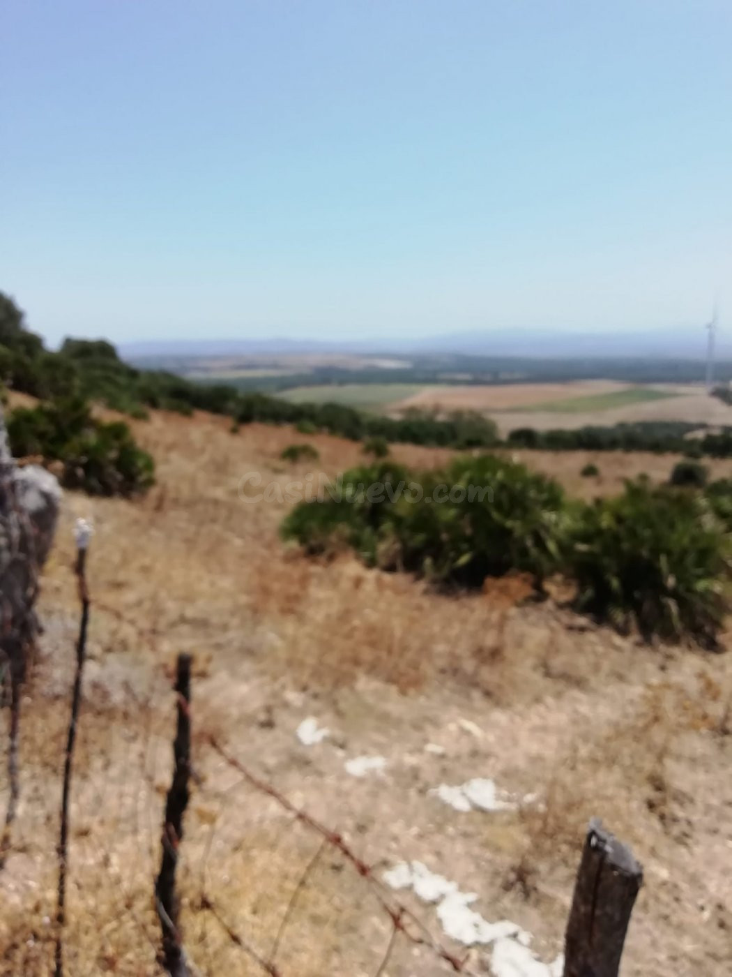 Finca Rústica 8 Has. en Vejer. - foto 4