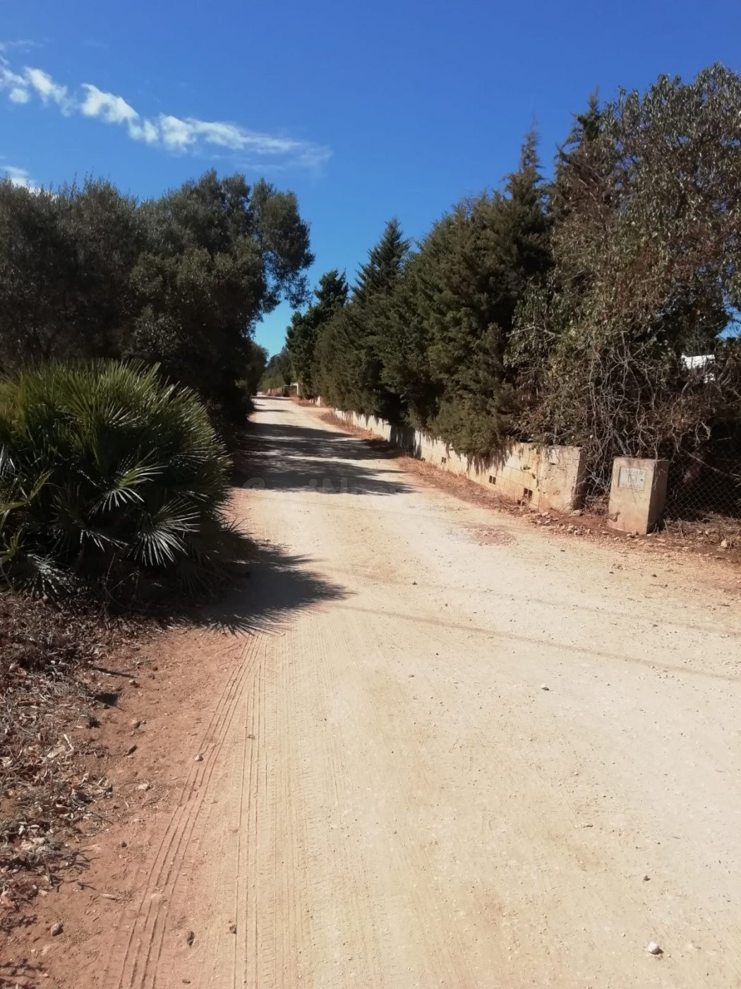 Parcela en la Muela
