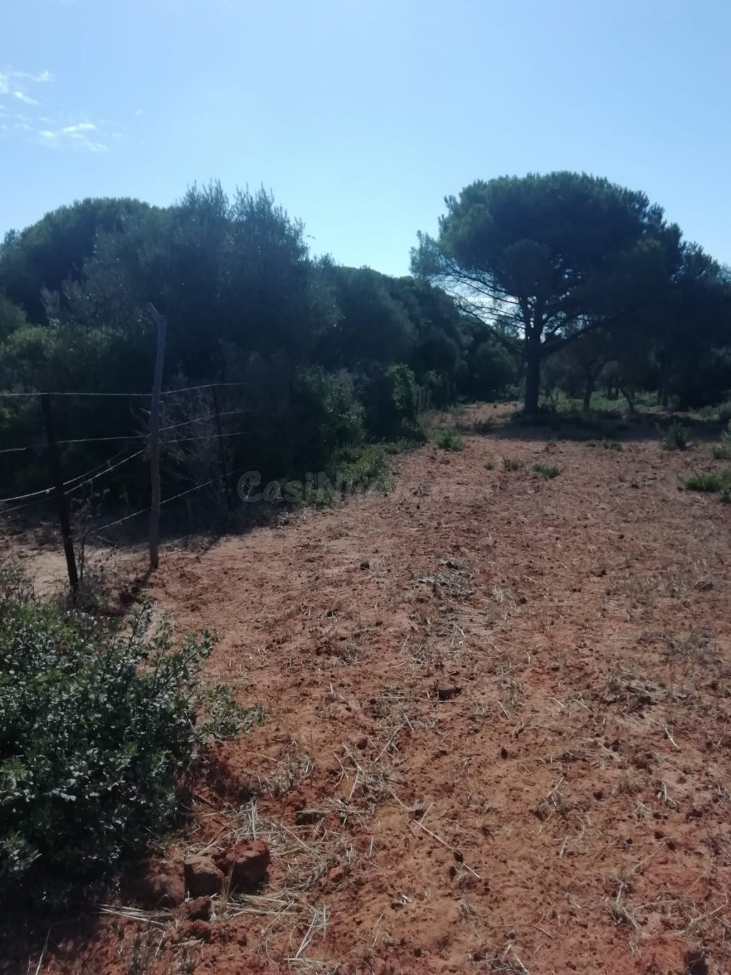 Parcela en la Muela - foto 2