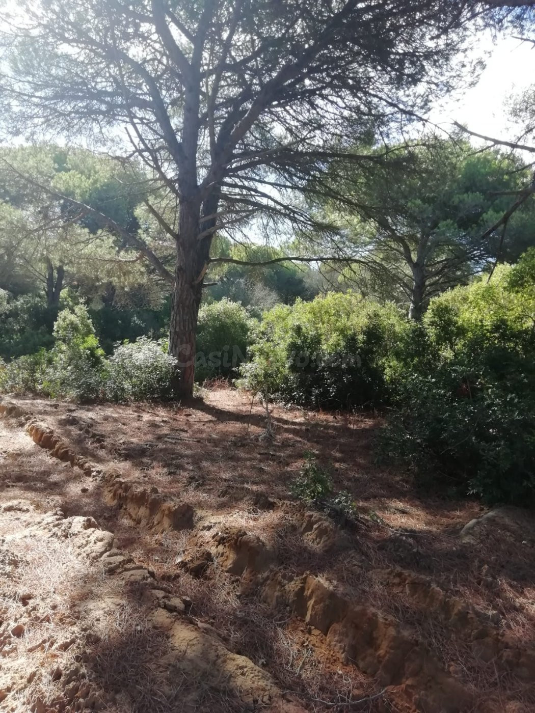 Parcela en la Muela - foto 4