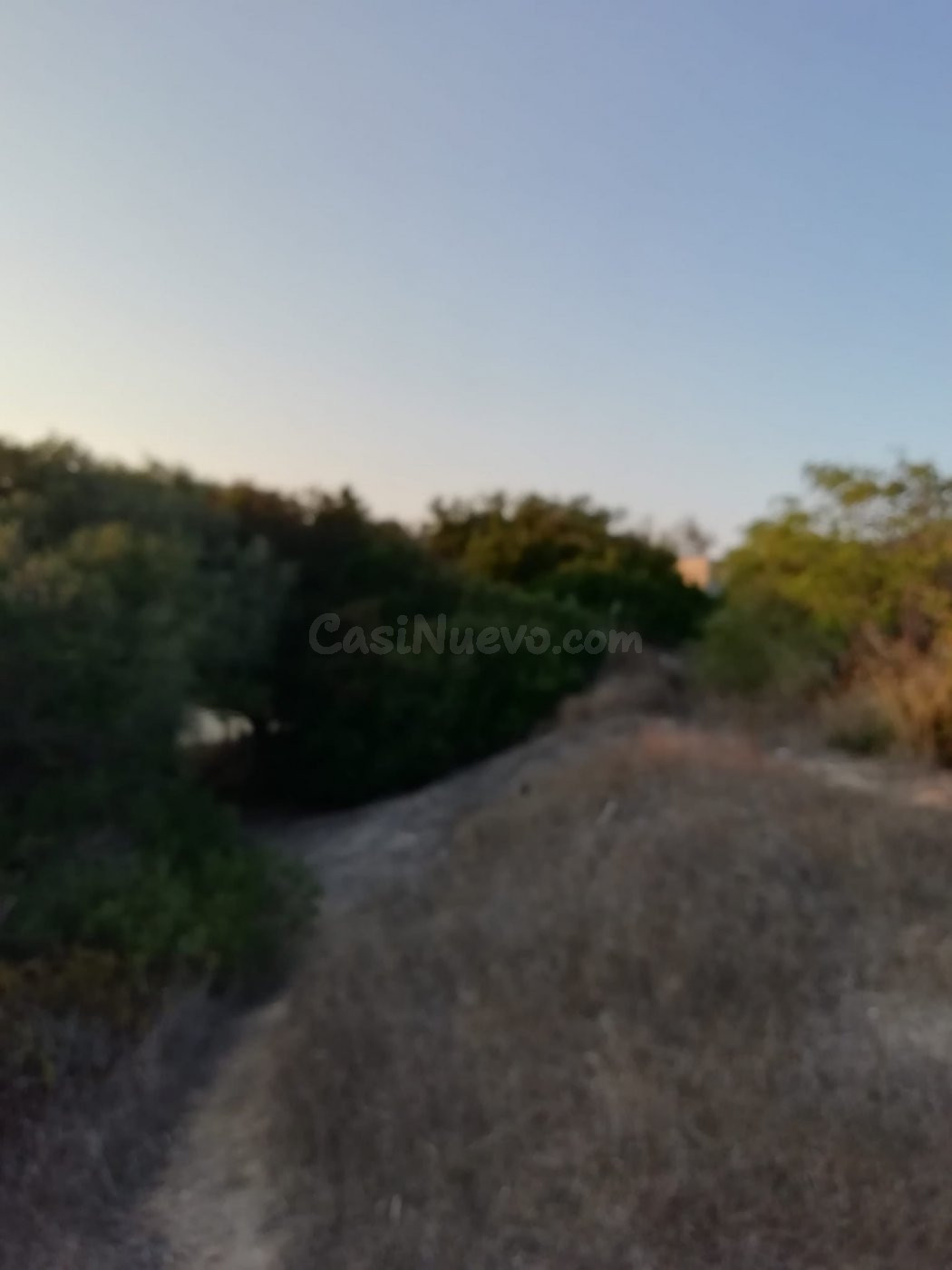 FINCA RÚSTICA EN LA ZONA DEL ABEJARUCO