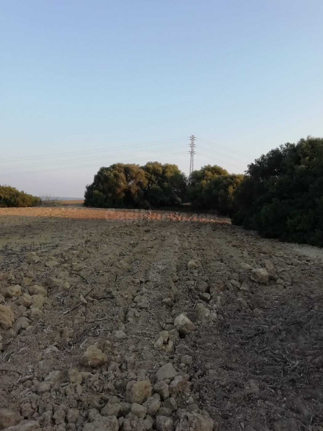 FINCA RÚSTICA EN LA ZONA DEL ABEJARUCO - foto 3