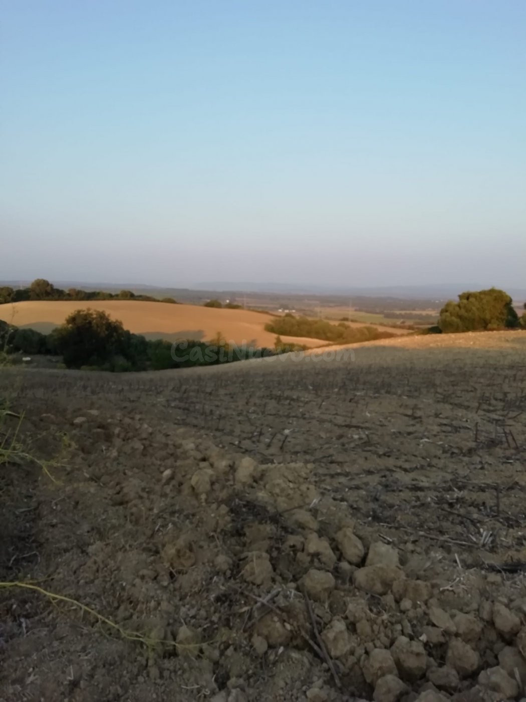 FINCA RÚSTICA EN LA ZONA DEL ABEJARUCO - foto 4