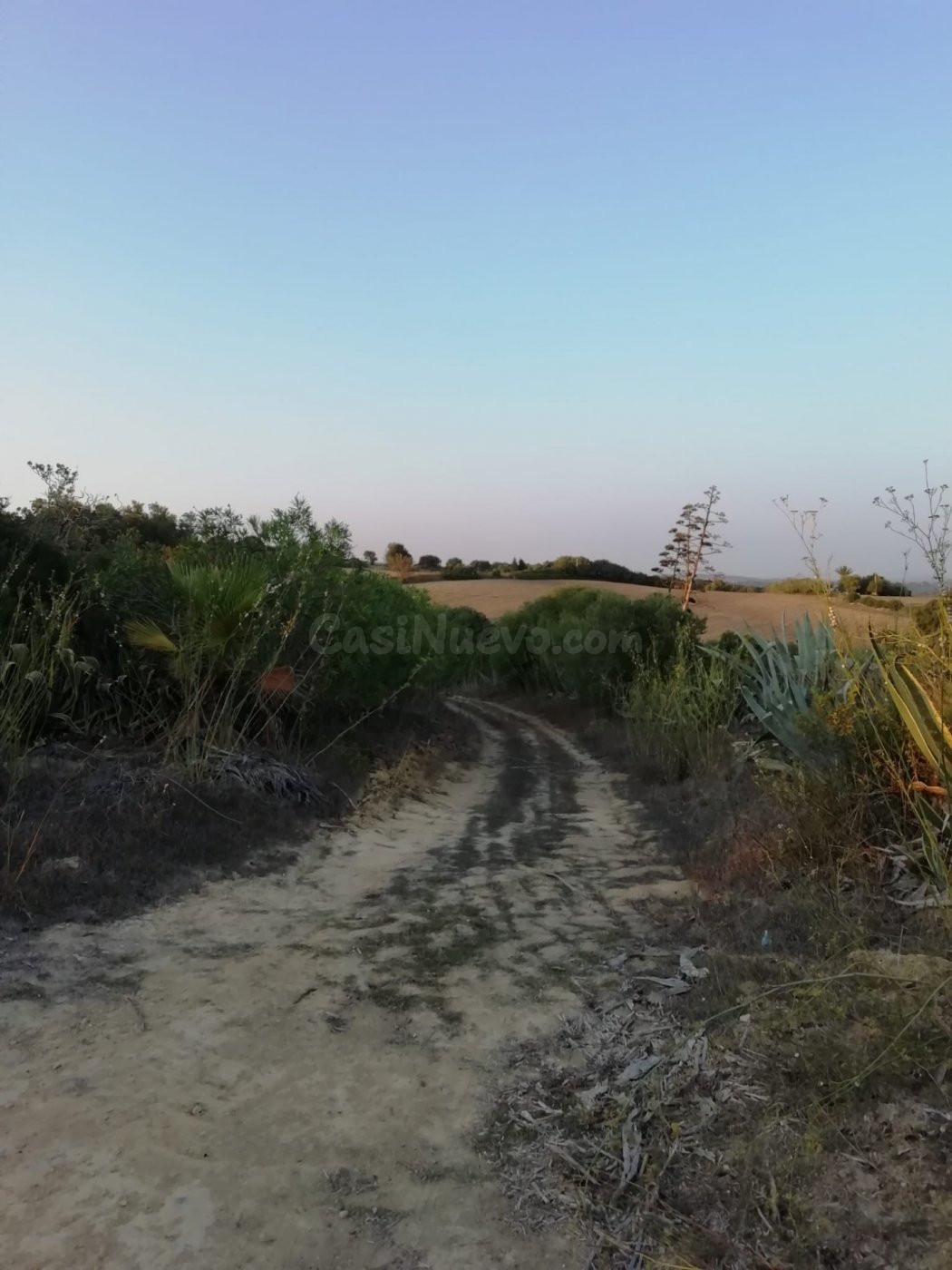 FINCA RÚSTICA EN LA ZONA DEL ABEJARUCO - foto 5